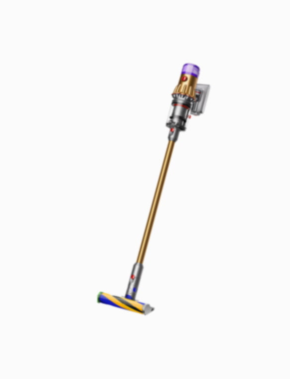 Dyson V12 Detect Slim™ vacuum (SV20, SV30)